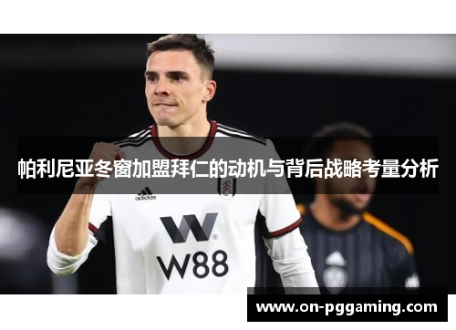帕利尼亚冬窗加盟拜仁的动机与背后战略考量分析 帕利尼亚冬窗加盟拜仁的动机与背后战略考量分析