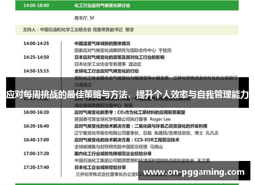 应对每周挑战的最佳策略与方法，提升个人效率与自我管理能力