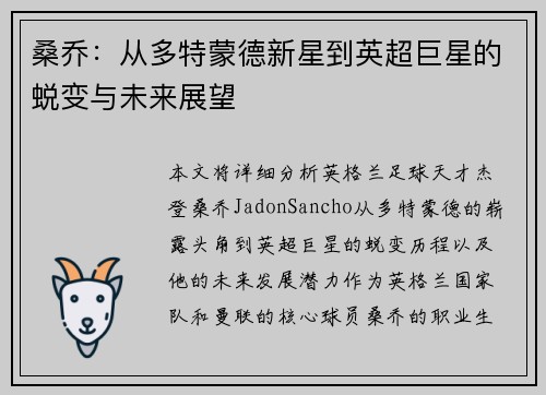 桑乔：从多特蒙德新星到英超巨星的蜕变与未来展望