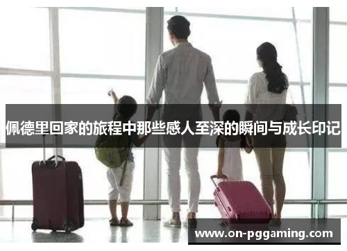 佩德里回家的旅程中那些感人至深的瞬间与成长印记