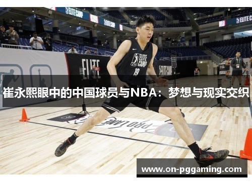 崔永熙眼中的中国球员与NBA：梦想与现实交织