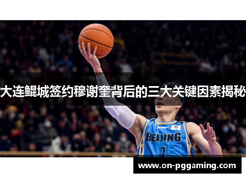 大连鲲城签约穆谢奎背后的三大关键因素揭秘