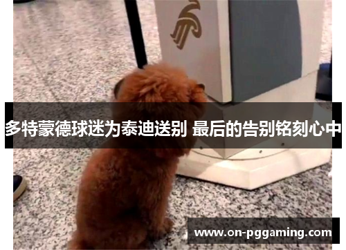 多特蒙德球迷为泰迪送别 最后的告别铭刻心中