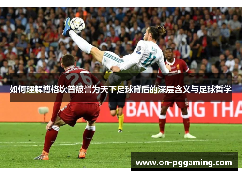 如何理解博格坎普被誉为天下足球背后的深层含义与足球哲学