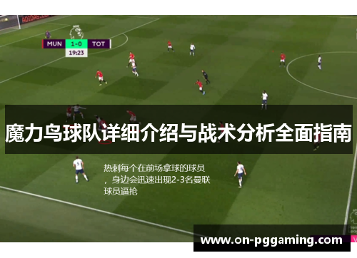 魔力鸟球队详细介绍与战术分析全面指南