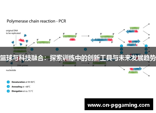 篮球与科技融合：探索训练中的创新工具与未来发展趋势
